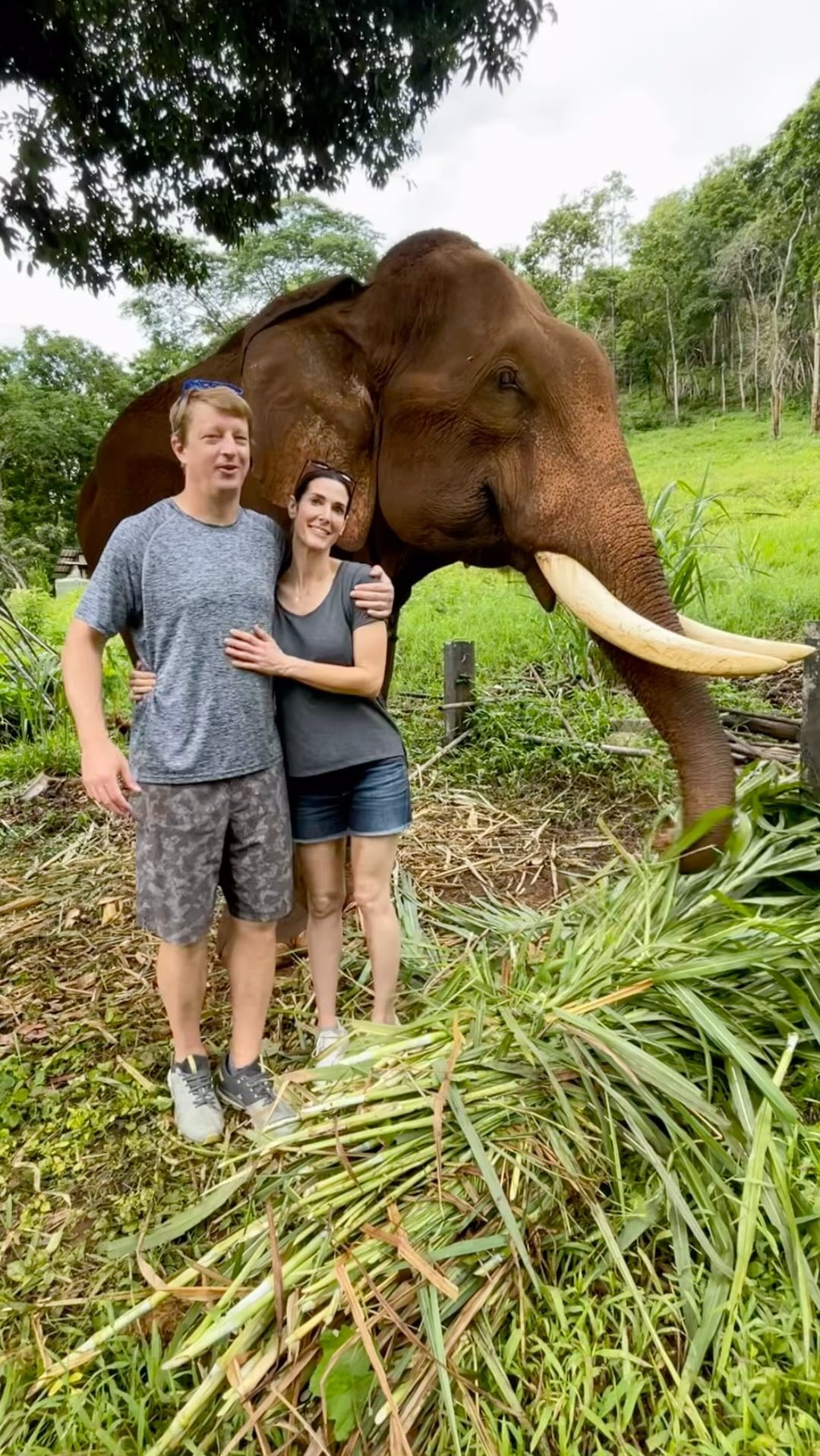 We fell in love with Thailand! Sneak peek into the wonderful adventures from Chiang Mai and Bangkok #travel #thailand #thailandtravel #asiatravel #foodtravel
